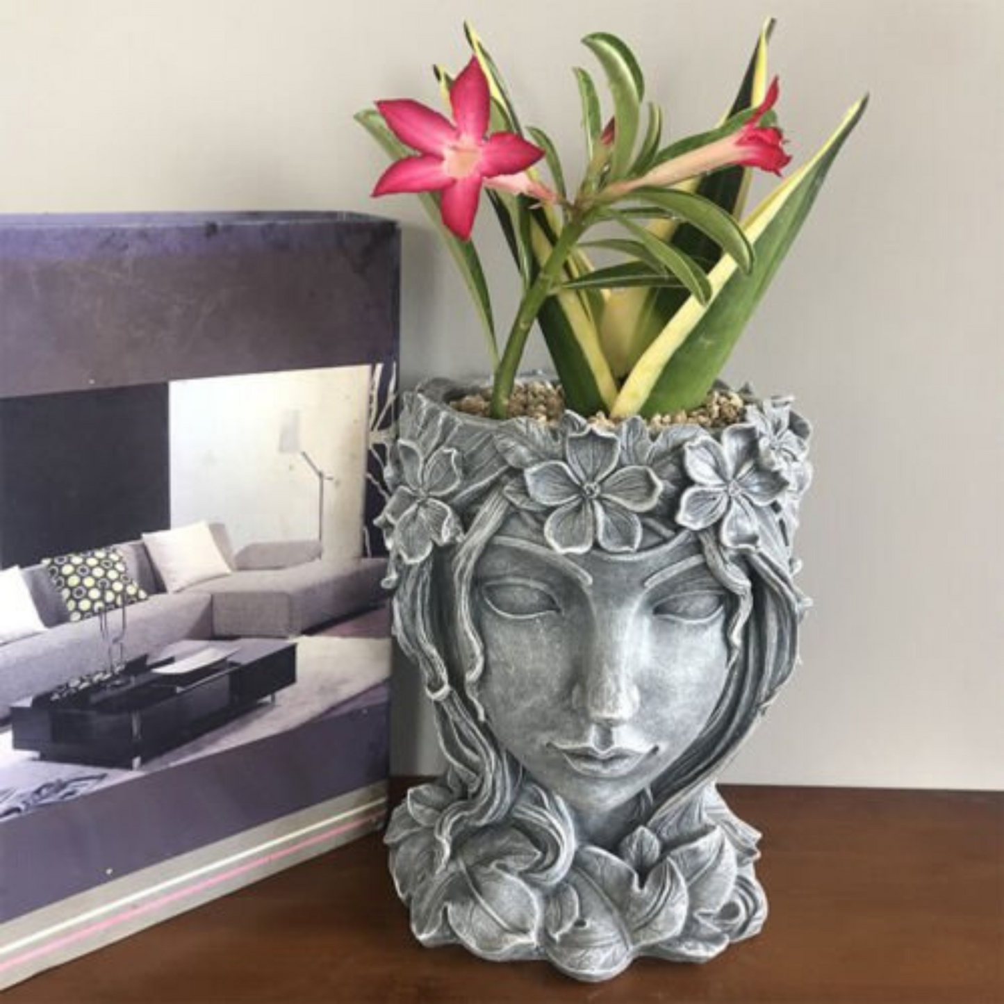 Resin Succulents Plant Pot Goddess Head Design Home Office Lady Face Planter