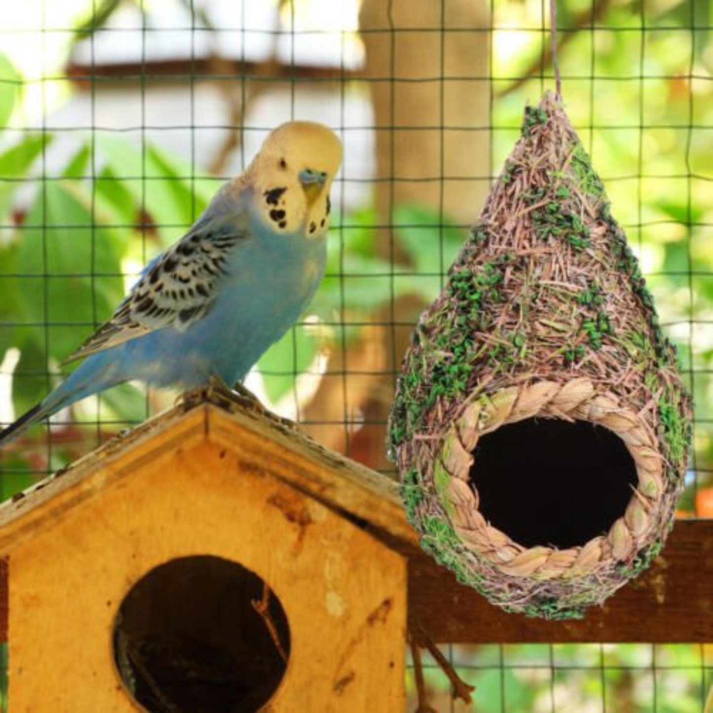 3pcs Handwoven Straw Bird Nest Canary Budgie Breeding Nest Box