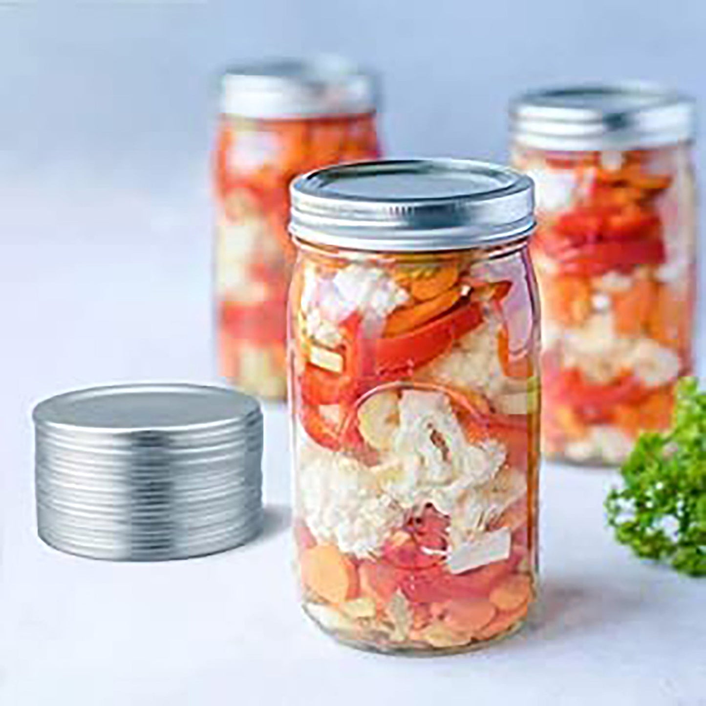 Regular Mouth Mason Jar Split-Type Lids and Rings 20 Pcs 7cm - Silver