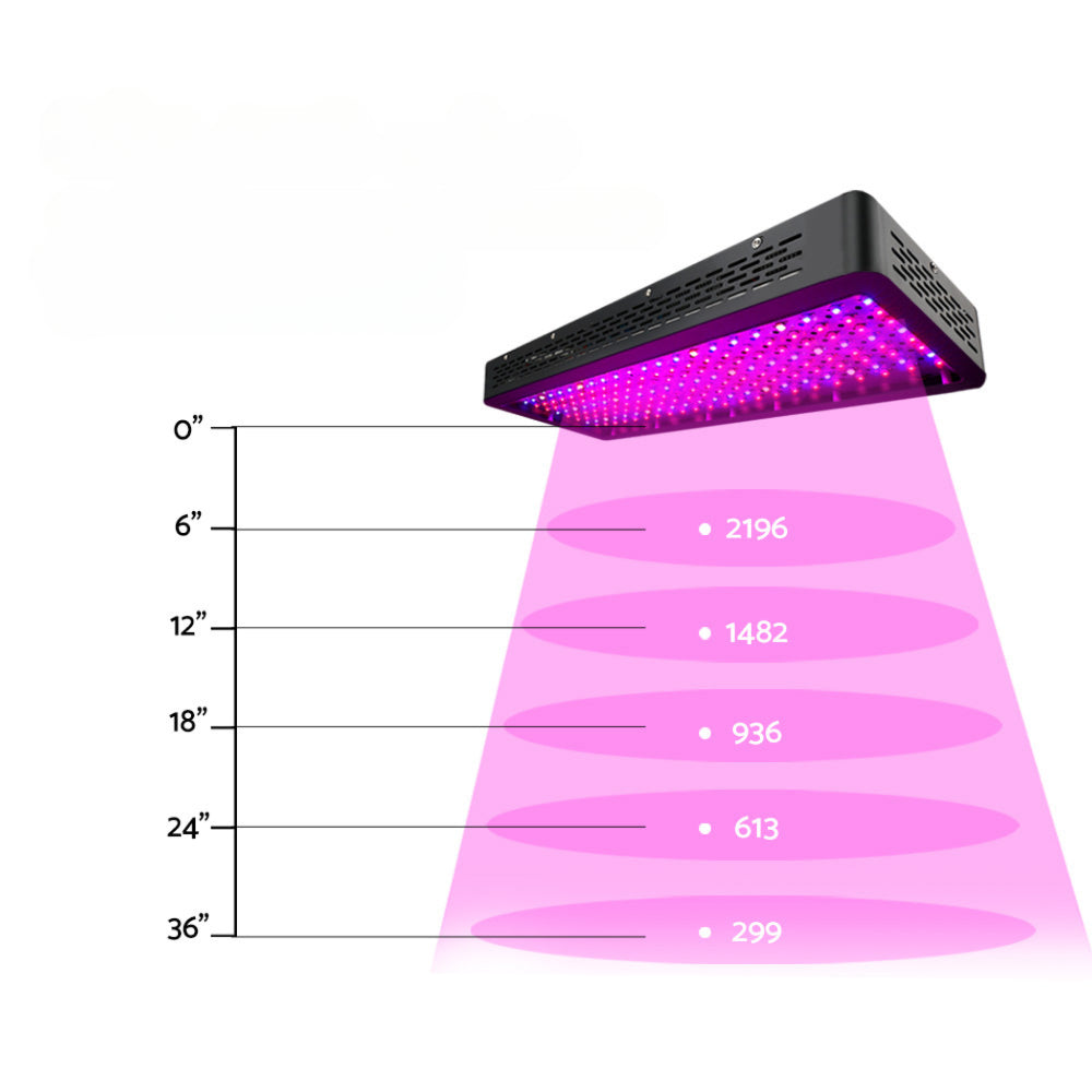 2000W LED Grow Light Full Spectrum