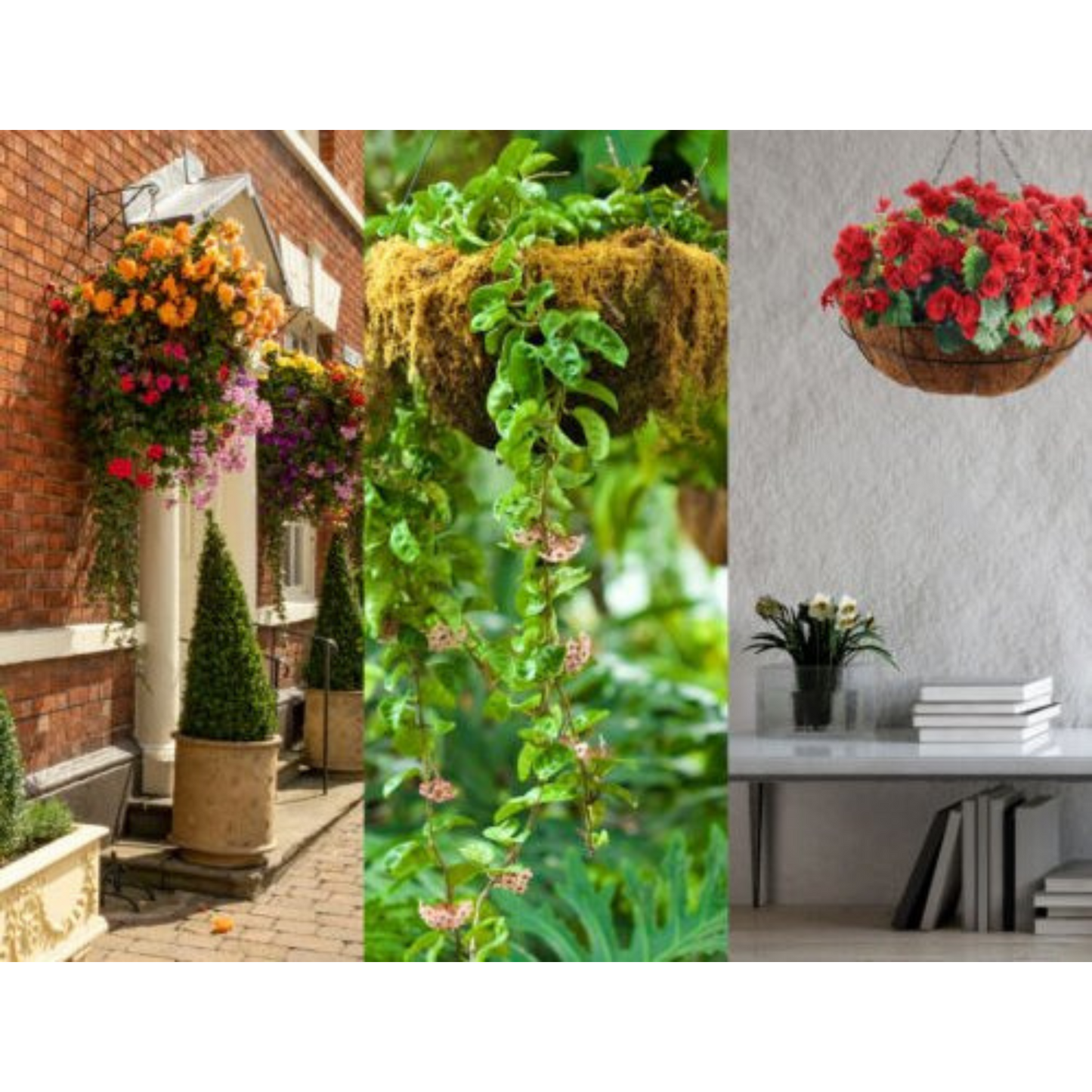 40cm Garden Hanging Planter Basket Coconut Fibre Lining with Strong Chain