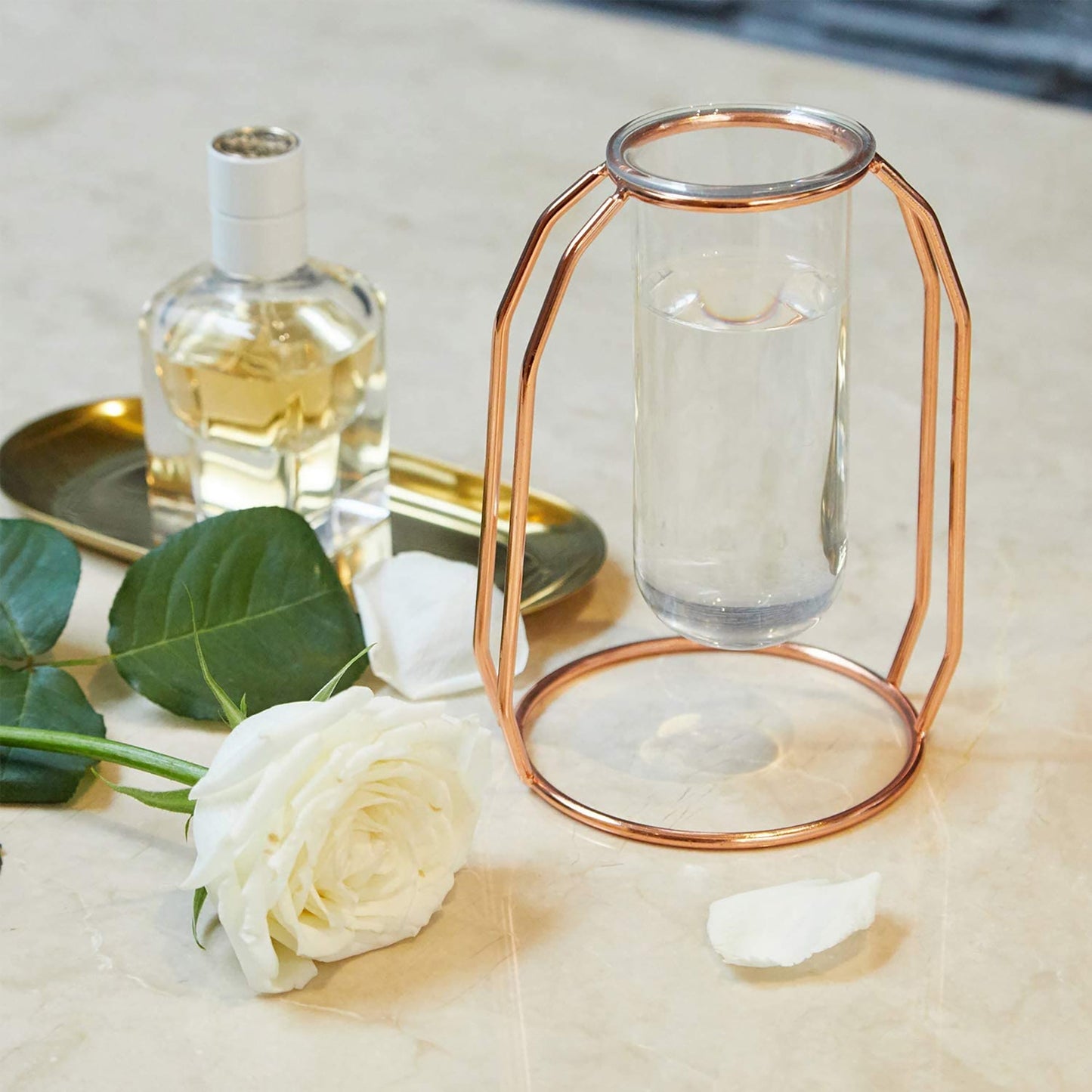 Set of 2 Metal Glass Flower Vase Planter Terrariums Cylinder Vase Home Decor - Rose Gold