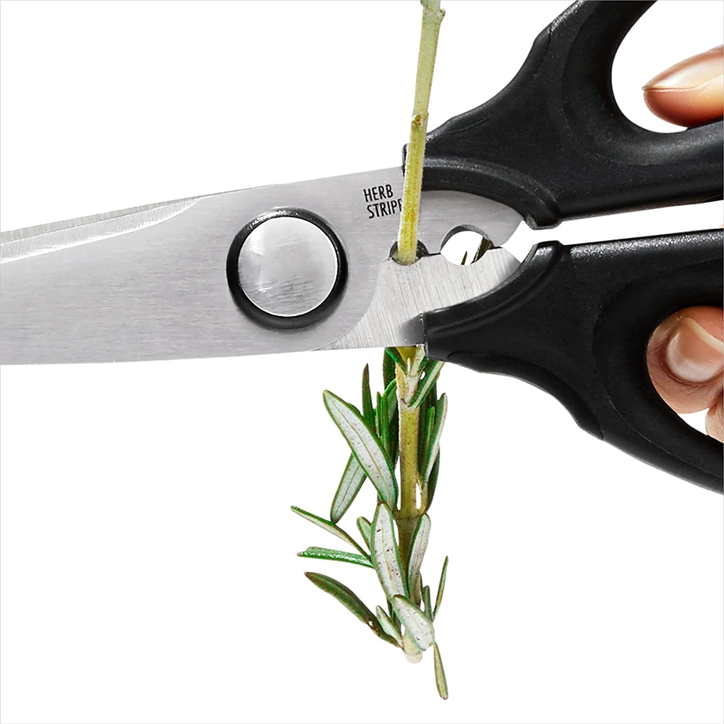 Stainless Steel Kitchen and Herb Scissors - Black