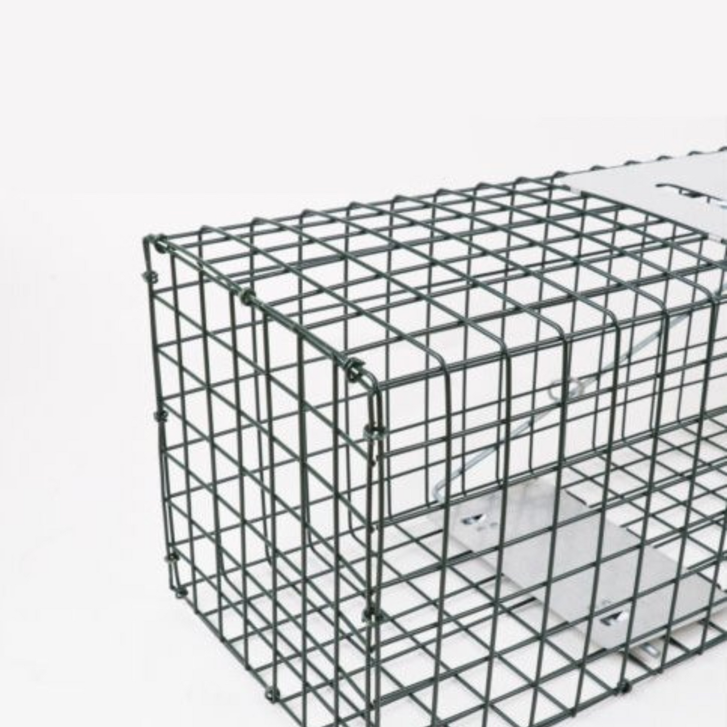 Humane Live Animal Trap Cage Steel Catch for Possum Fox Rat Cat Rabbit Bird