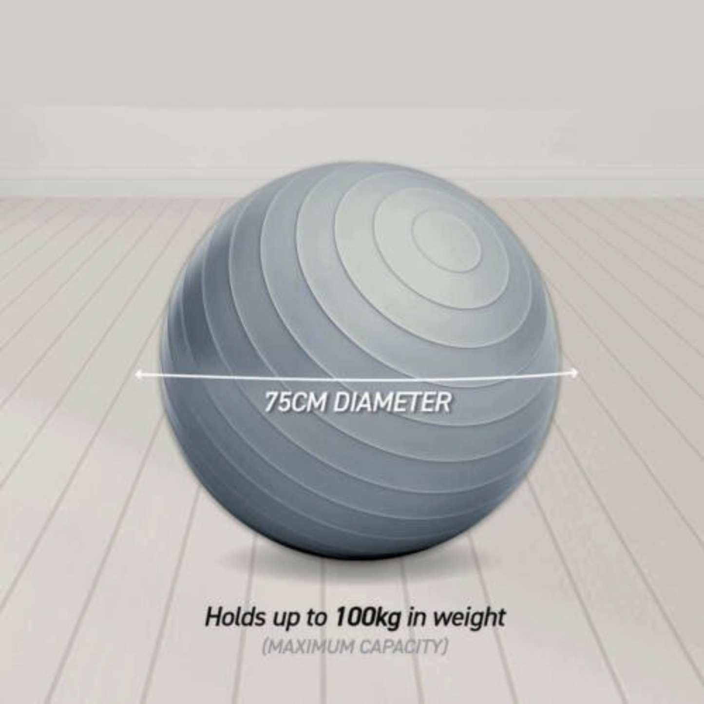 Anti Slip Texture Gym Ball Pink Balance Strength Training 55cm 65cm 75cm