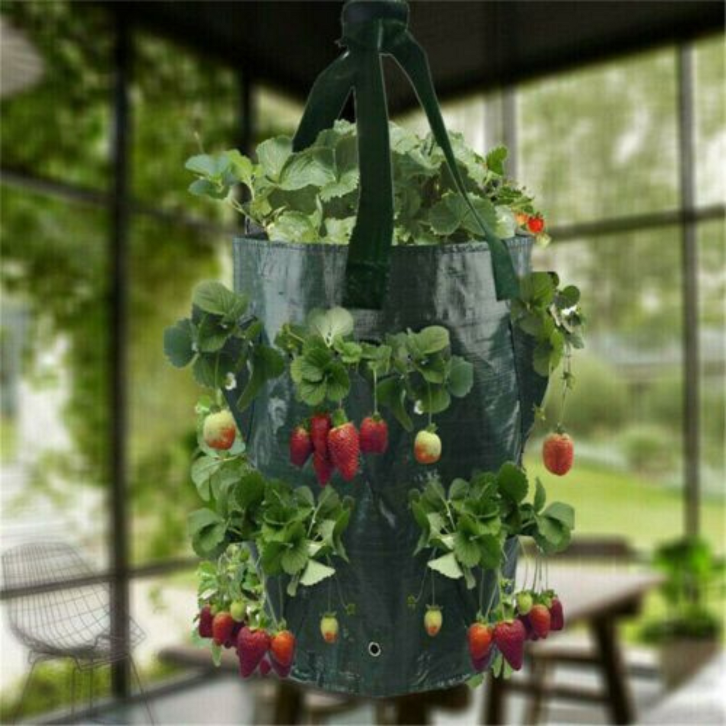 Hanging Flower Pouch Strawberry Planter Bags 3 Gallon Garden Planting Grow Bag