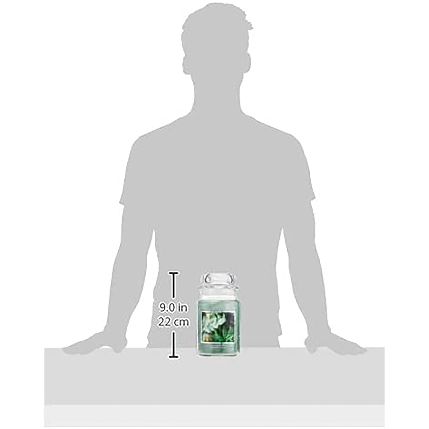 Eucalyptus Mint Glass Jar Apothecary Scented Candle 21.25 oz - Green