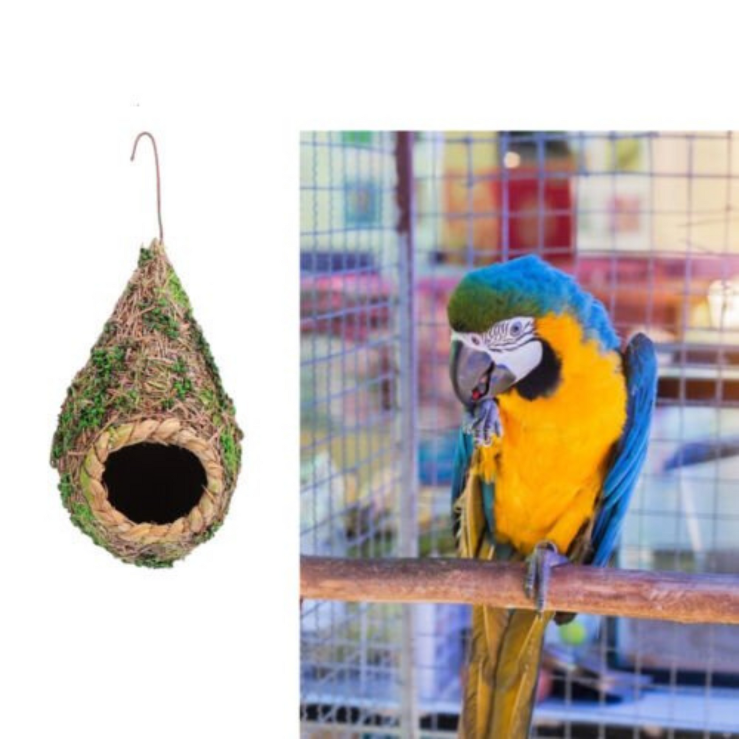 3pcs Handwoven Straw Bird Nest Canary Budgie Breeding Nest Box