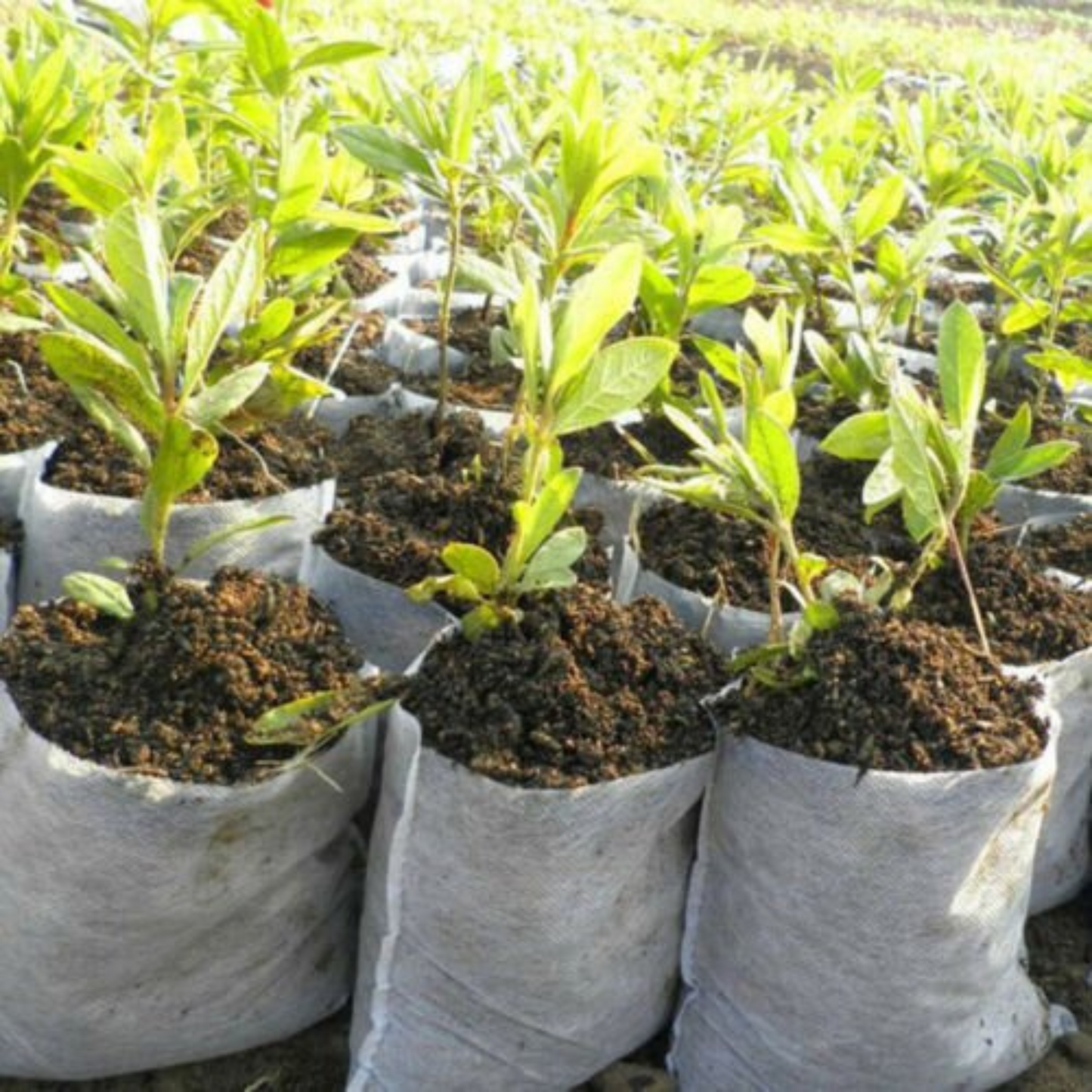 400pcs Non-Woven Garden Plant Nursery Bags Fabric Seedling Pots