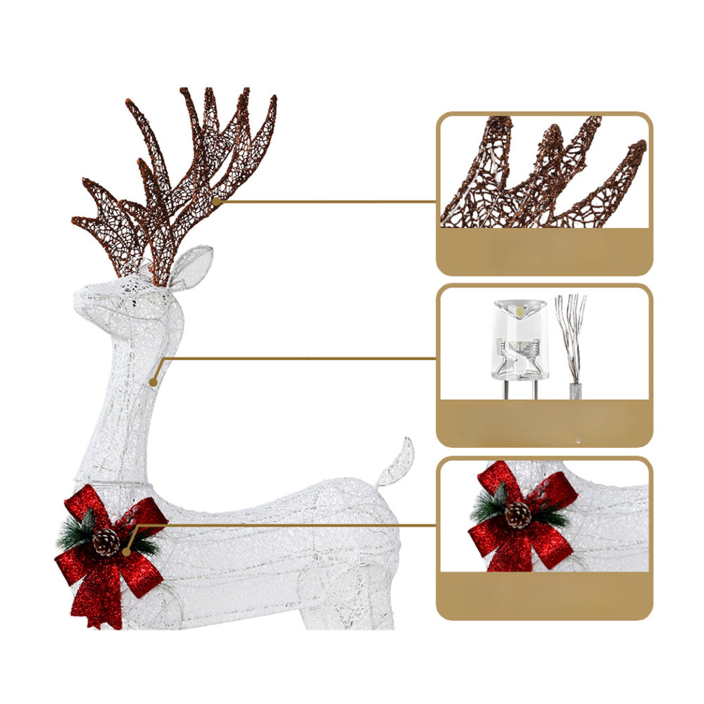 Christmas Xmas Lights LED Rope Reindeer Waterproof Outdoor - 5m
