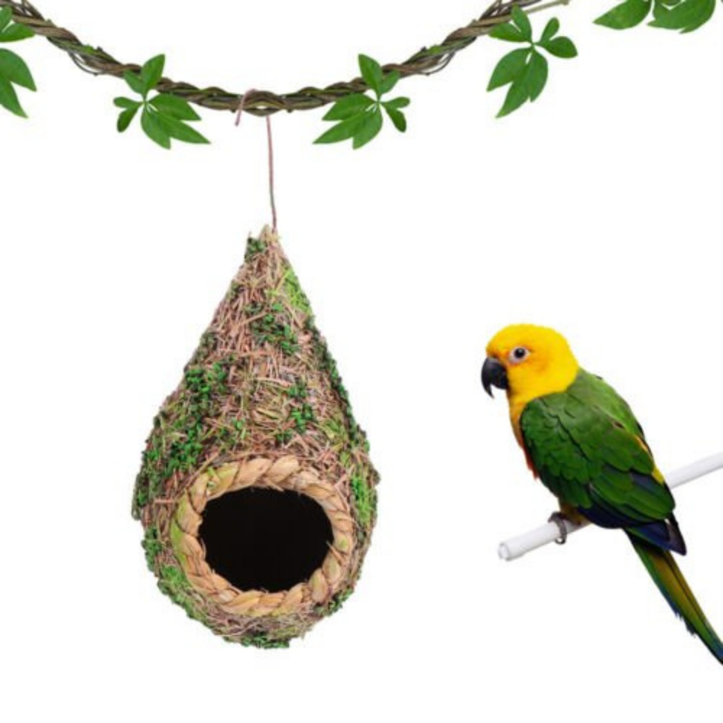 3pcs Handwoven Straw Bird Nest Canary Budgie Breeding Nest Box