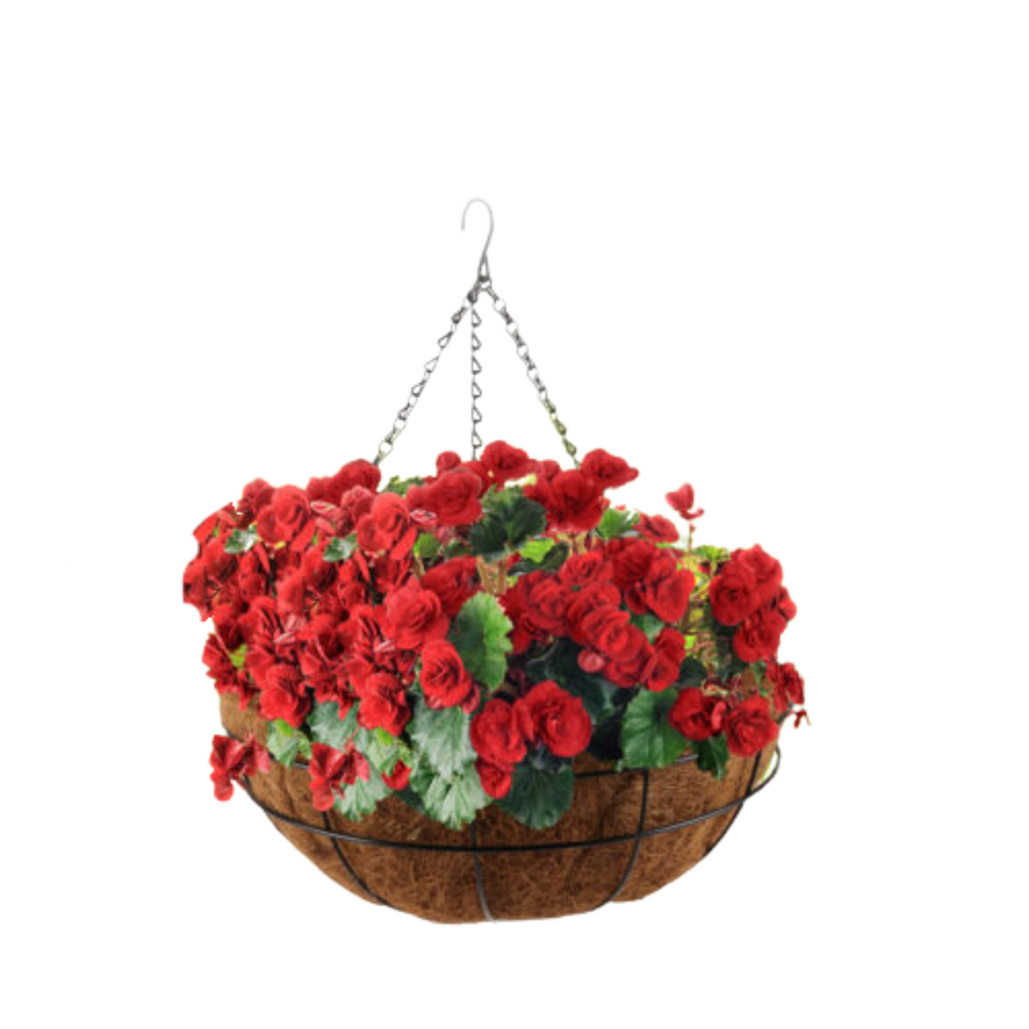 40cm Garden Hanging Planter Basket Coconut Fibre Lining with Strong Chain