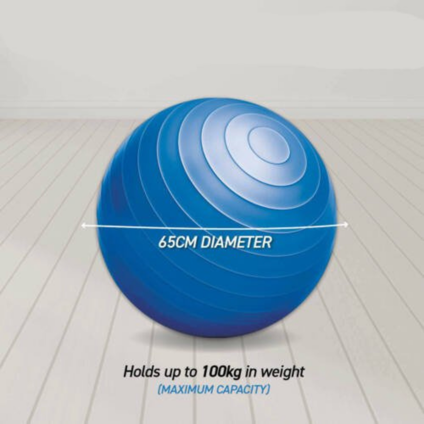 Anti Slip Texture Gym Ball Pink Balance Strength Training 55cm 65cm 75cm