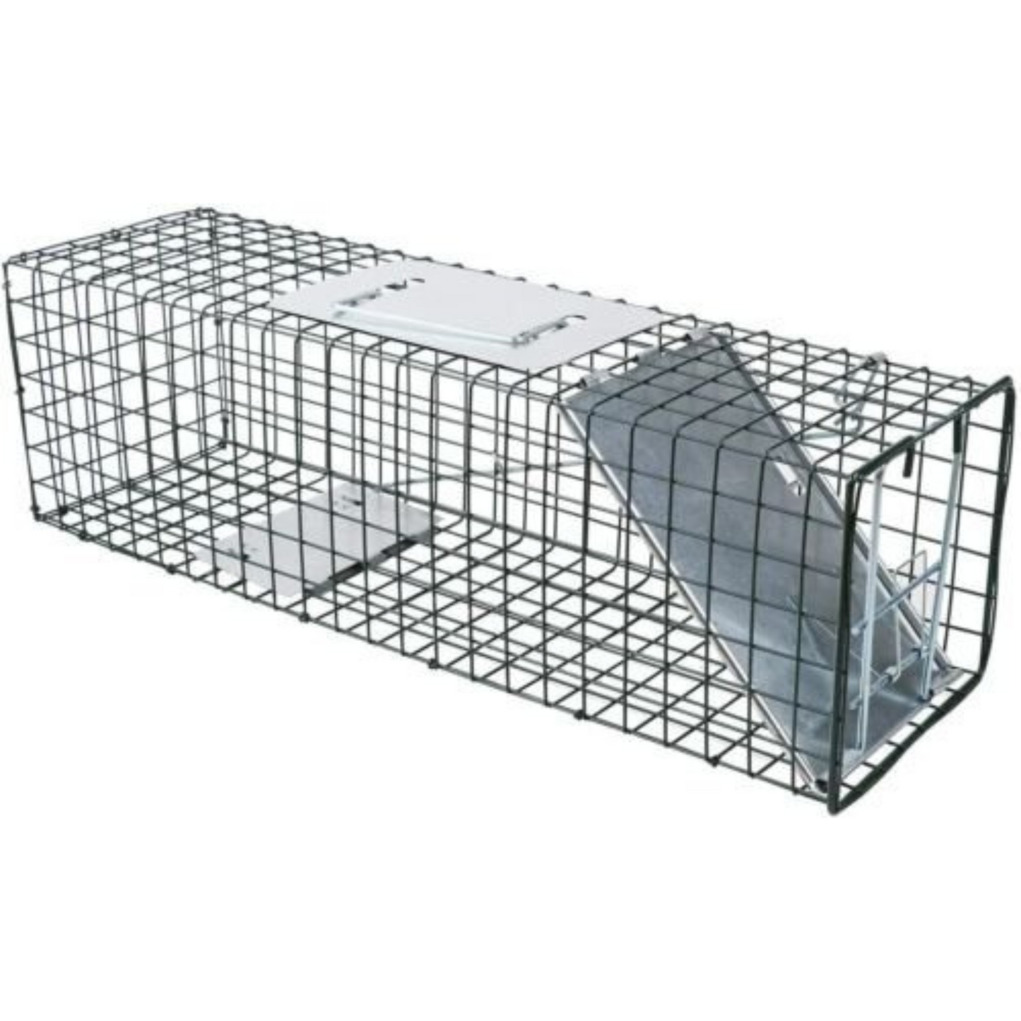 Humane Live Animal Trap Cage Steel Catch for Possum Fox Rat Cat Rabbit Bird