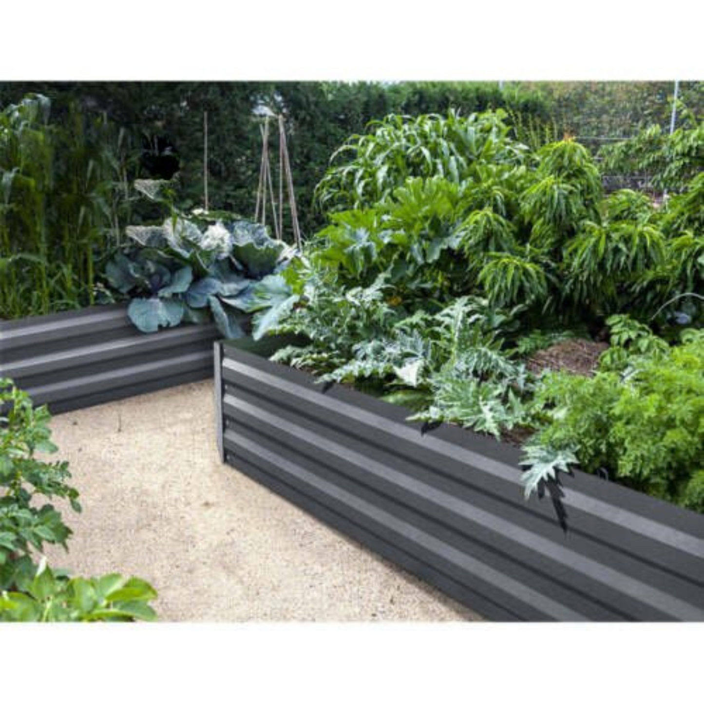 2pcs Galvanised Steel Raised Garden Beds 150x90x30cm Planter for Outdoor