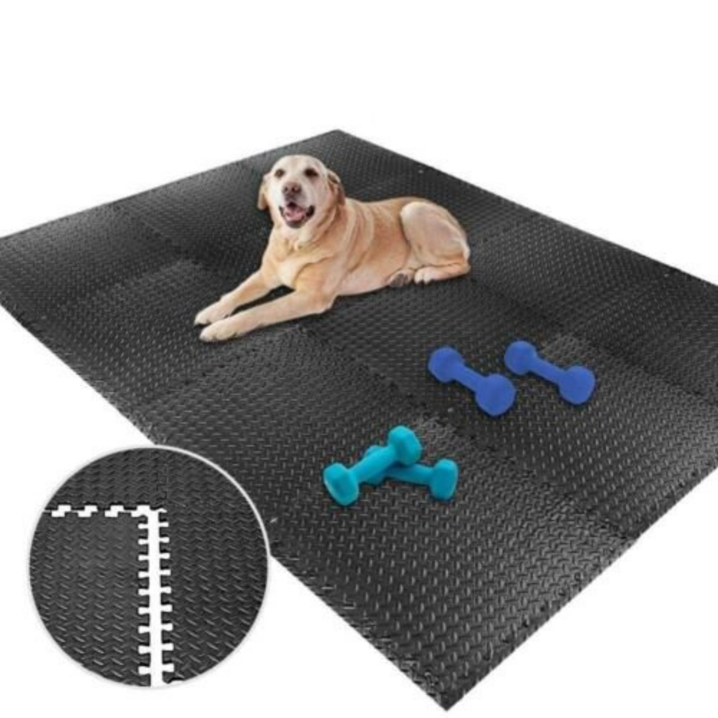 12 to 24x EVA Black Foam Mat Interlocking Heavy Duty Gym Flooring