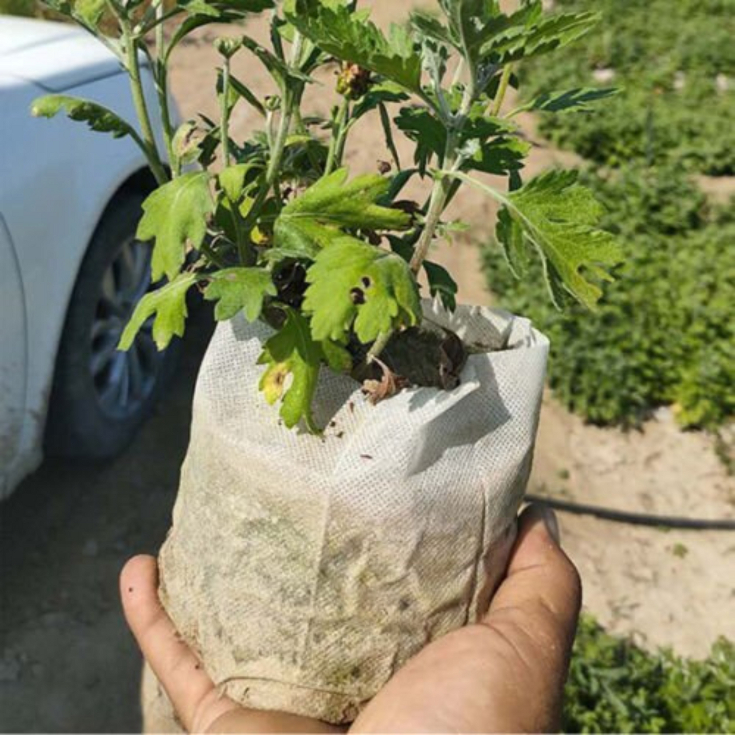 400pcs Non-Woven Garden Plant Nursery Bags Fabric Seedling Pots