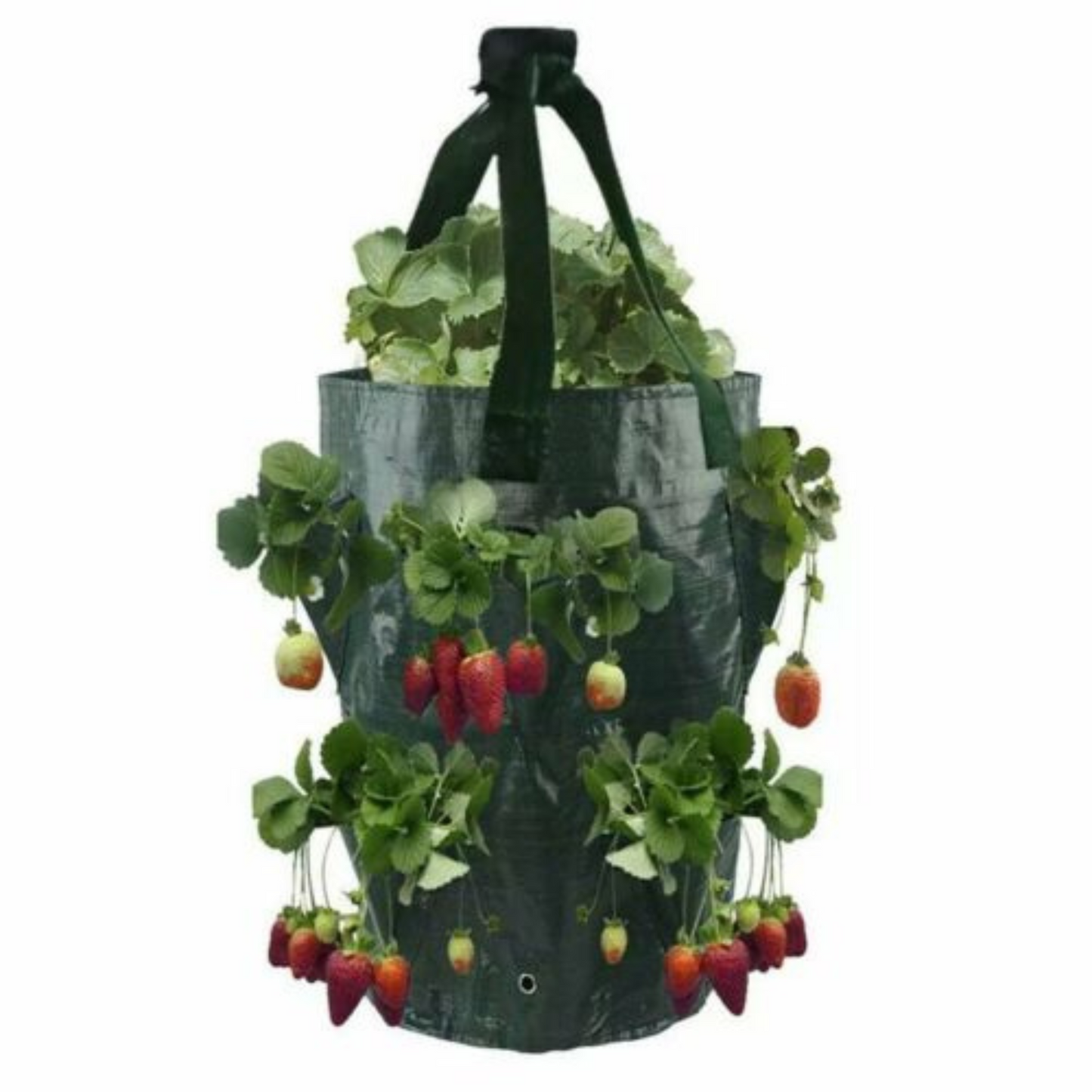 Hanging Flower Pouch Strawberry Planter Bags 3 Gallon Garden Planting Grow Bag