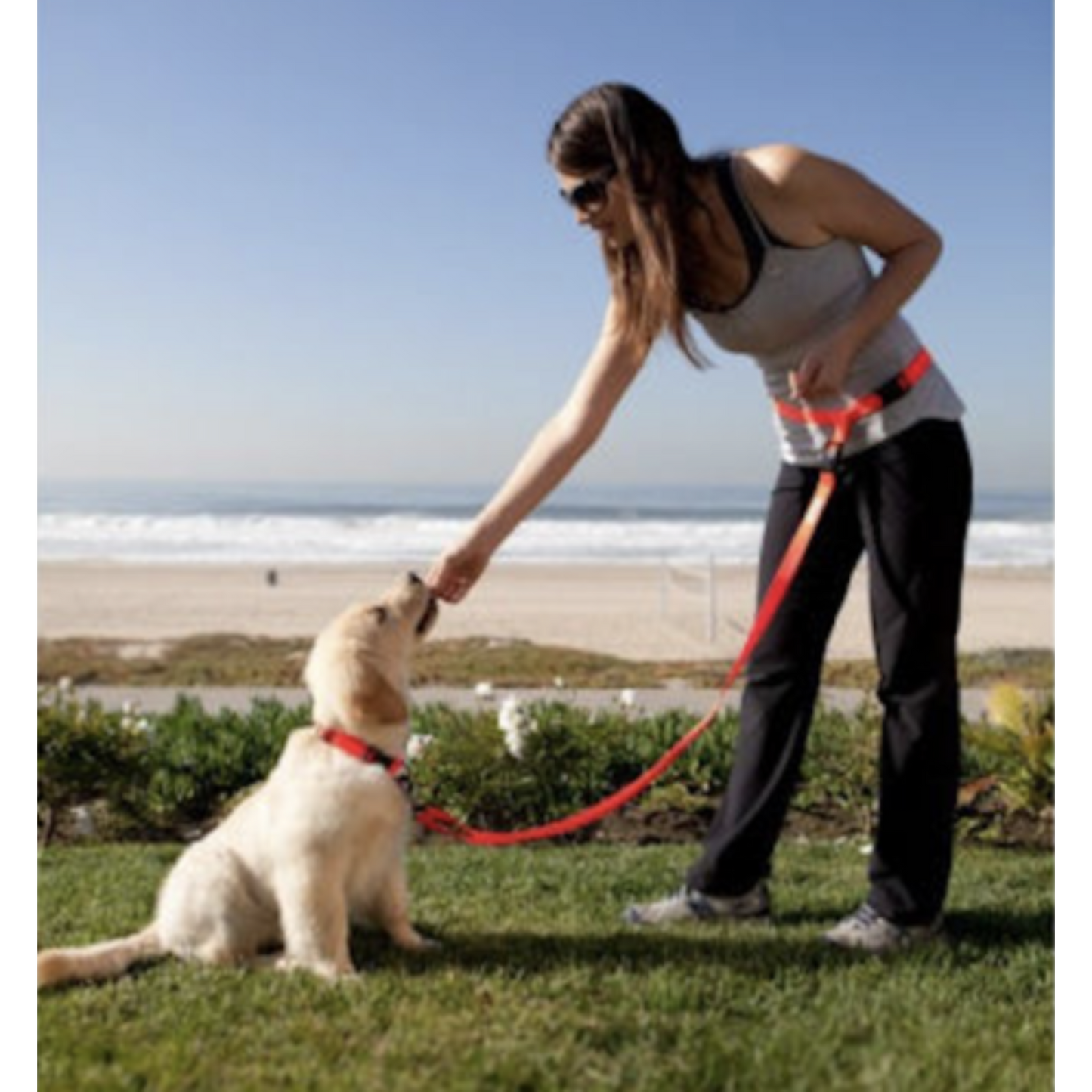 Adjustable Hands-Free Dog Leash with Waist Belt For Jogging and Walking