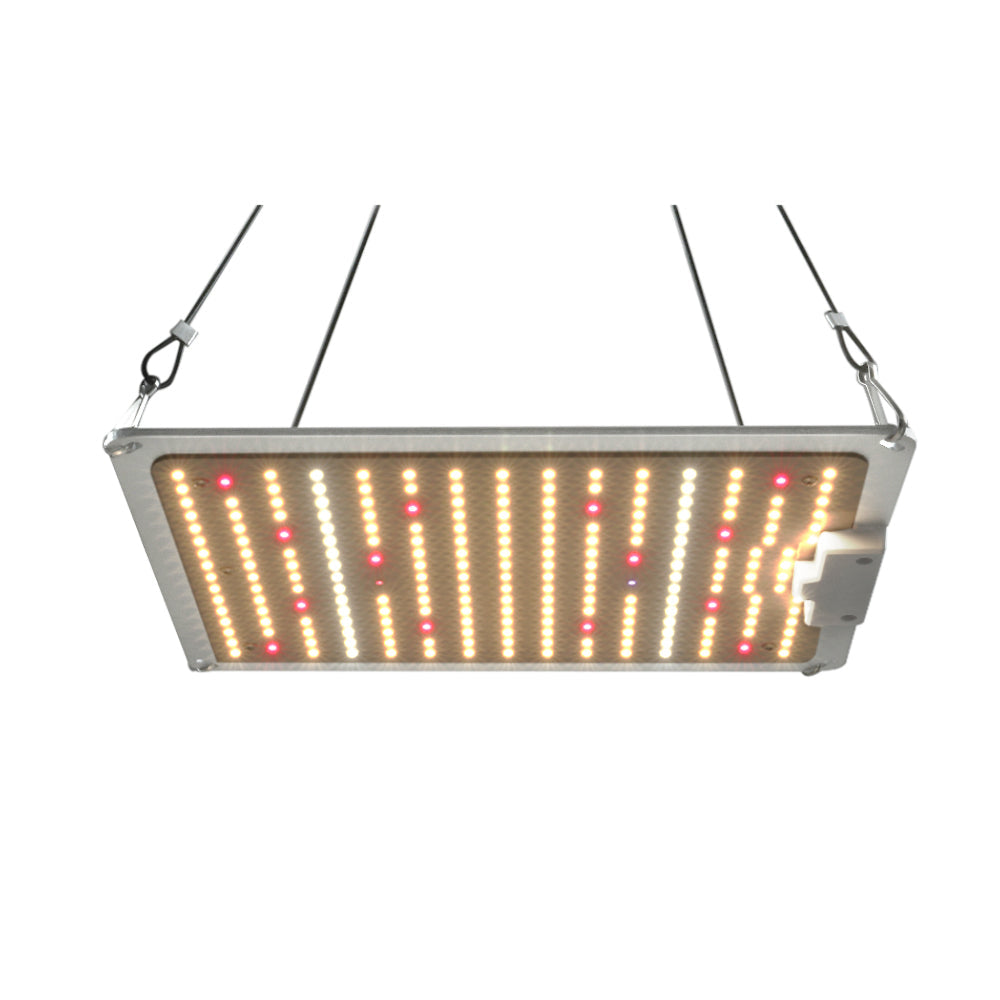 1000W LED Grow Light Full Spectrum Indoor Veg Flower All Stage