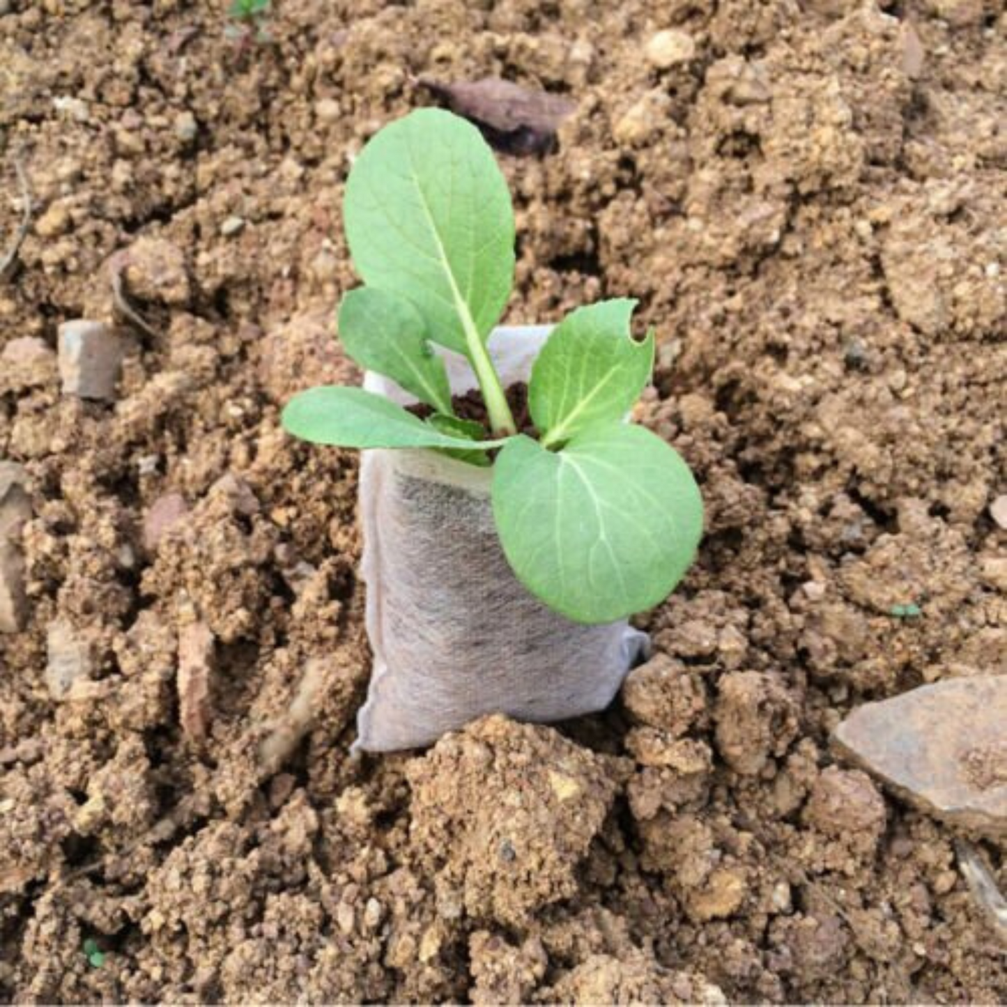 400pcs Non-Woven Garden Plant Nursery Bags Fabric Seedling Pots