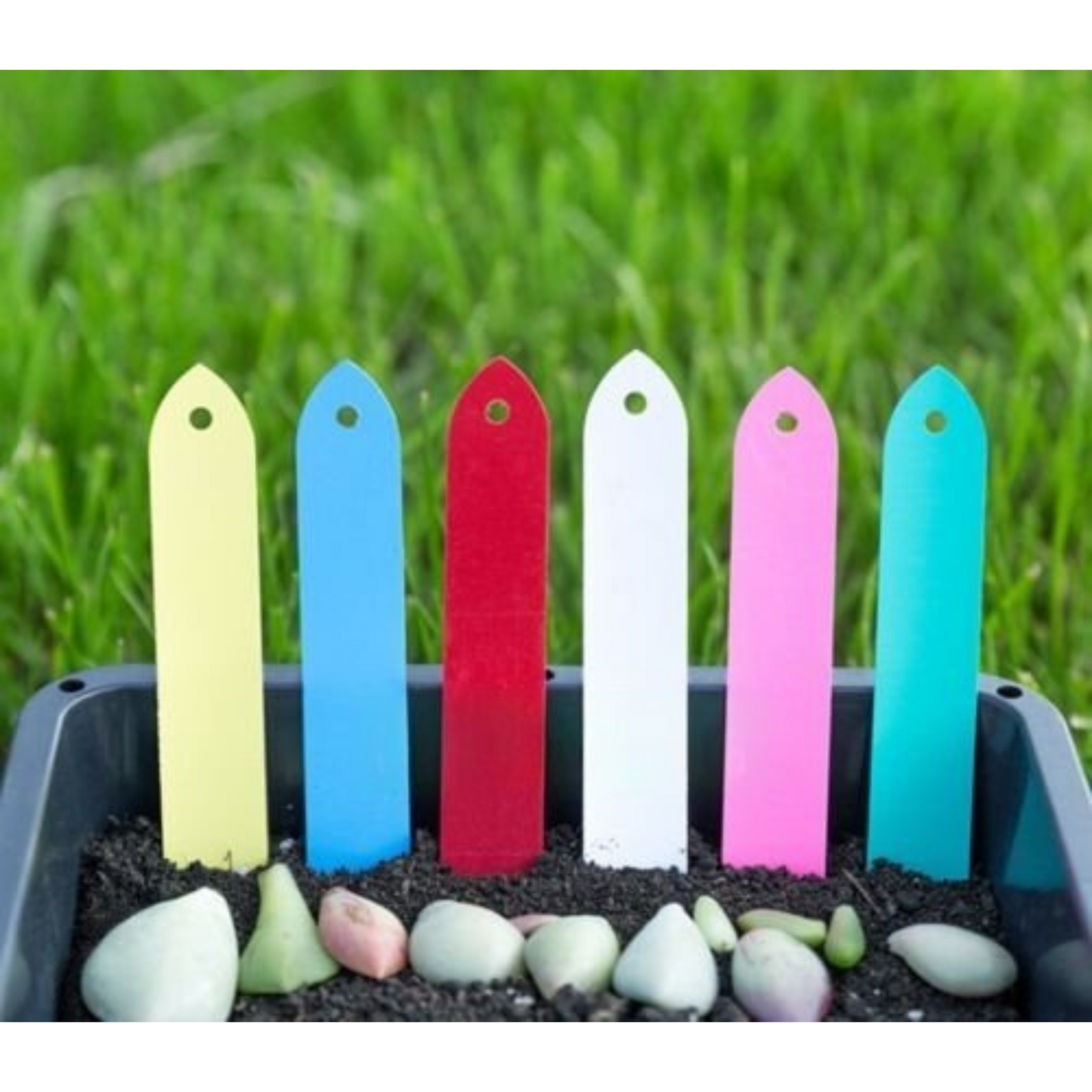 100pcs Flexible PVC Plastic Plant Labels Garden Tag Nursery Seeding with Marker Pen
