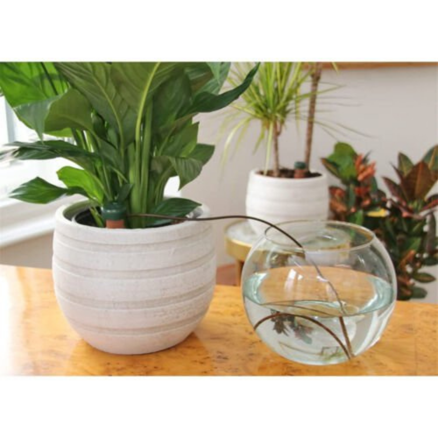 10pcs Automatic Watering System Garden Plant Self Watering Spikes