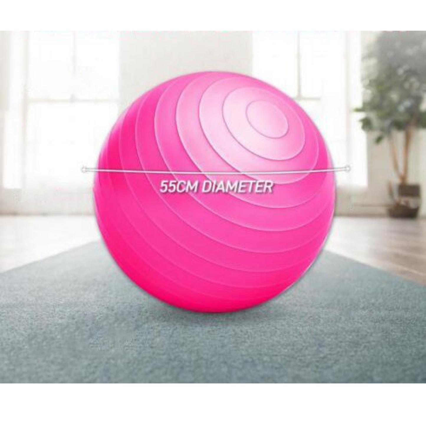 Anti Slip Texture Gym Ball Pink Balance Strength Training 55cm 65cm 75cm