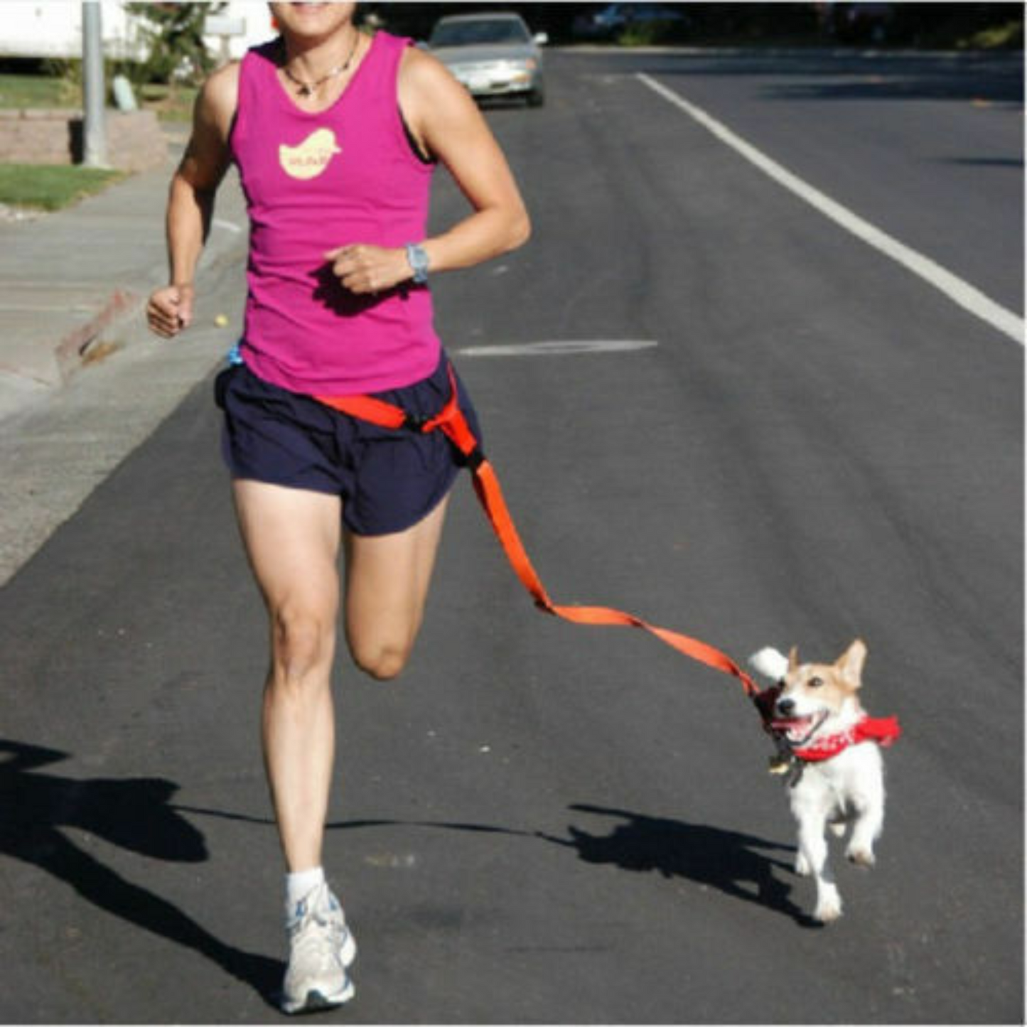 Adjustable Hands-Free Dog Leash with Waist Belt For Jogging and Walking
