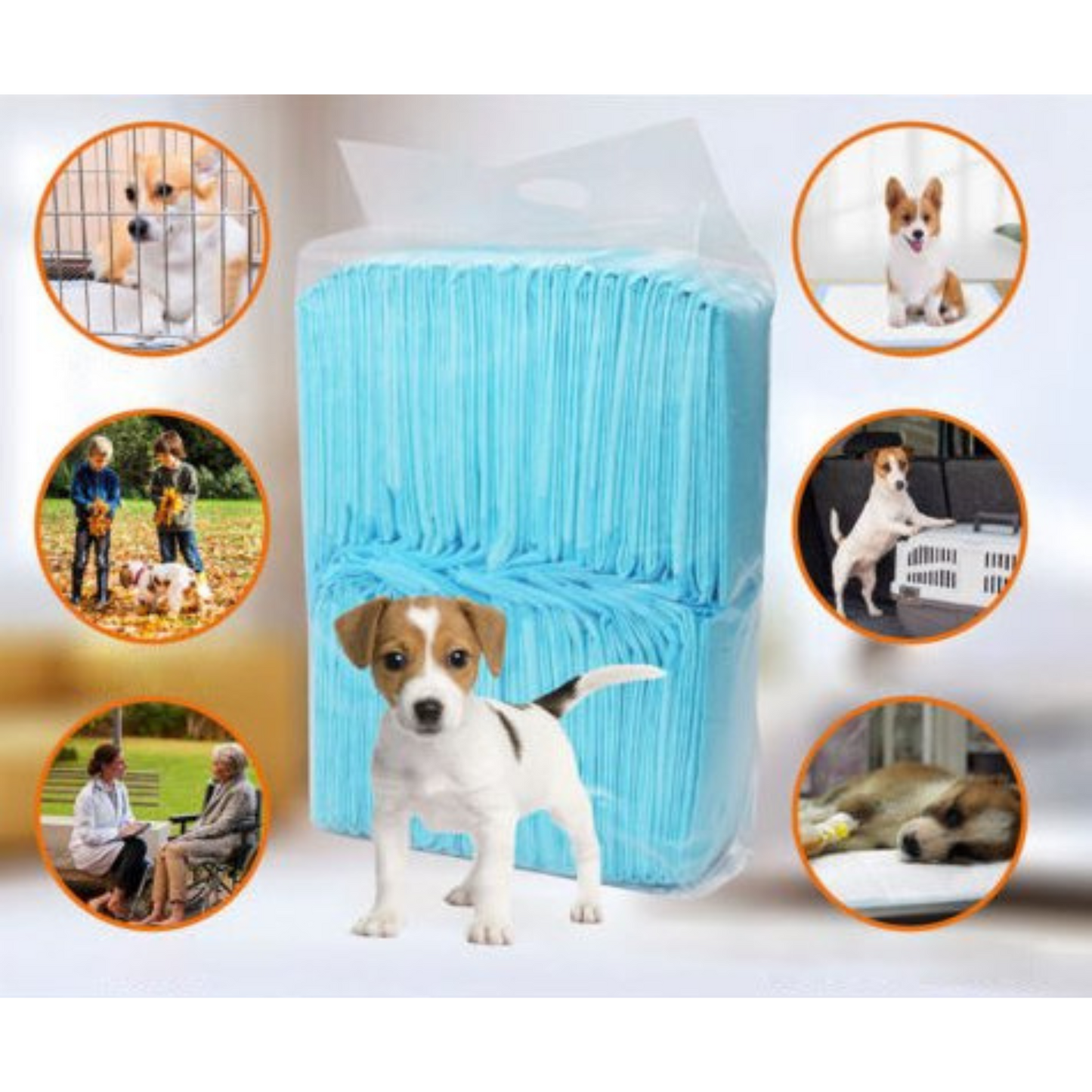 Super Absorbent Pet Toilet Training Pads 60x60cm for Puppy Dog Cat Indoor