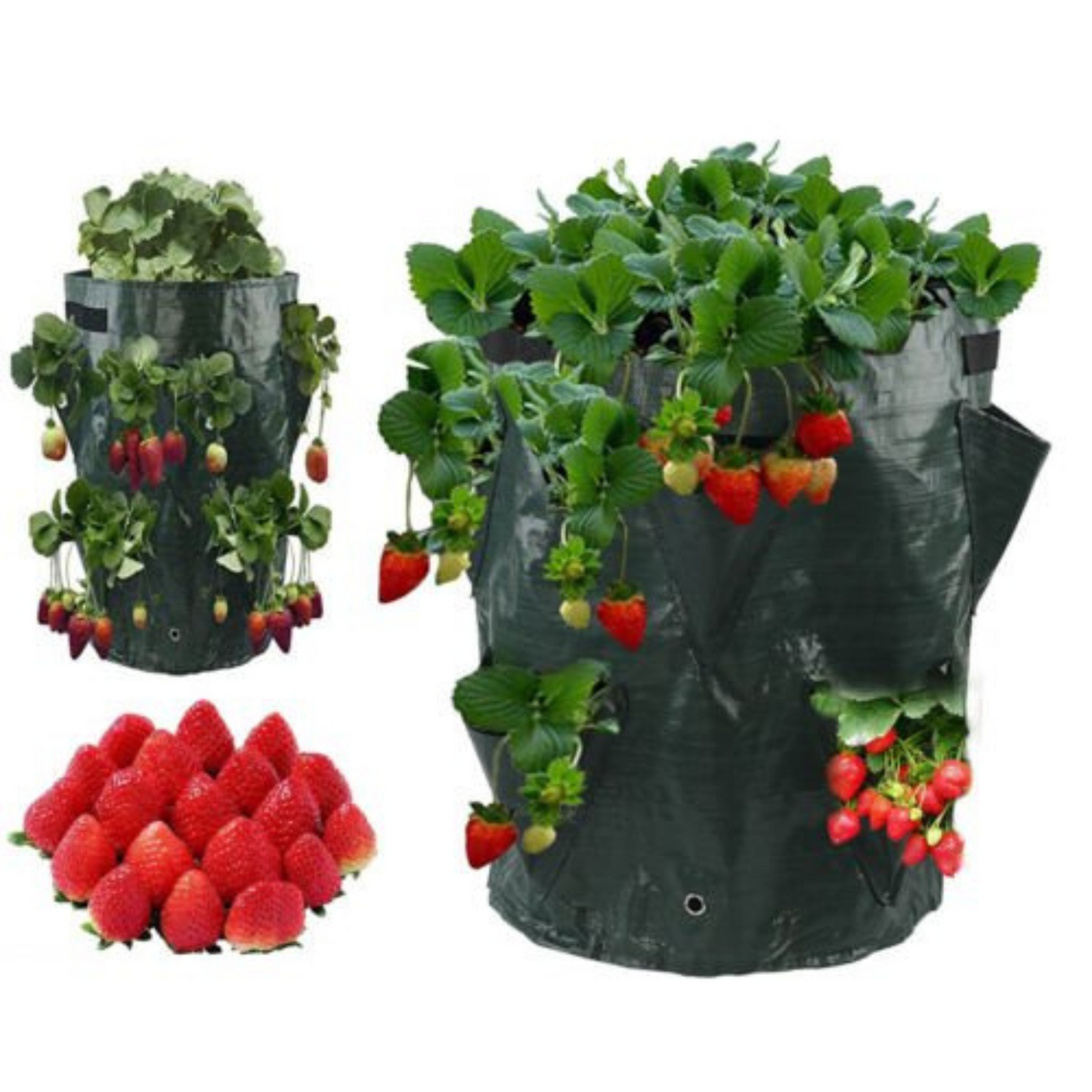 Hanging Flower Pouch Strawberry Planter Bags 3 Gallon Garden Planting Grow Bag