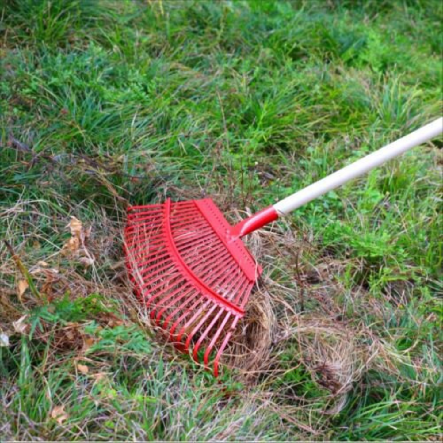 25 Teeth Metal Garden Leaf Rake Lawn Grass Rake Cleaning Tools Outdoor