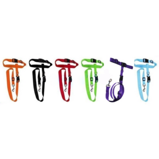 Adjustable Hands-Free Dog Leash with Waist Belt For Jogging and Walking
