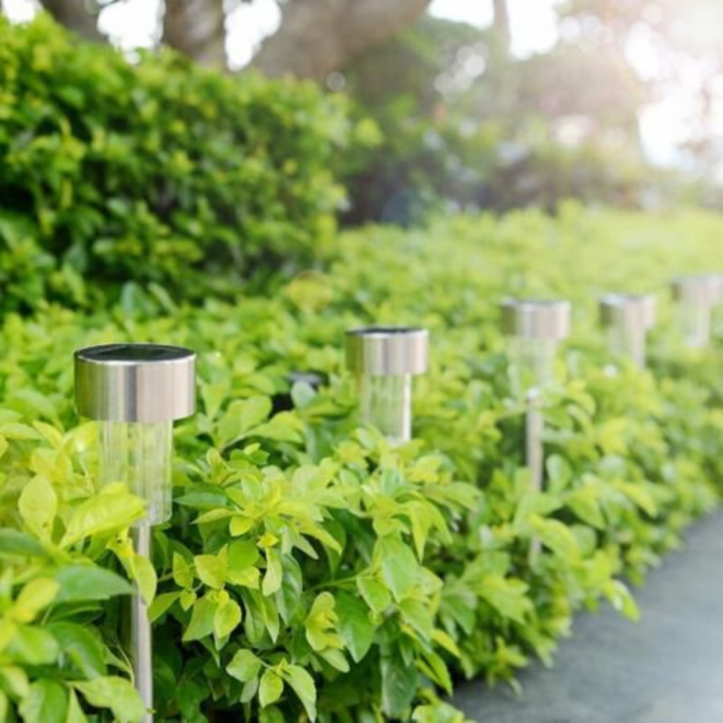 Outdoor Ground Waterproof Solar Lights Garden Lawn LED Pathway Lamps