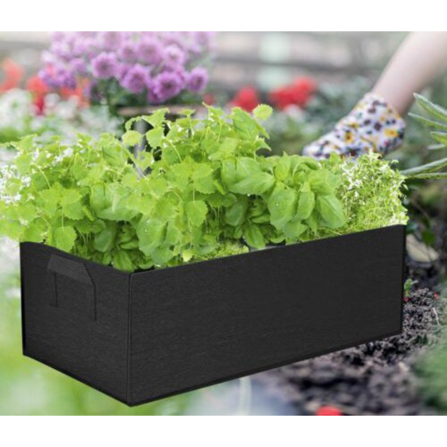 Fabric Potato Grow Bag Garden Planter Container for Root Plant Growing