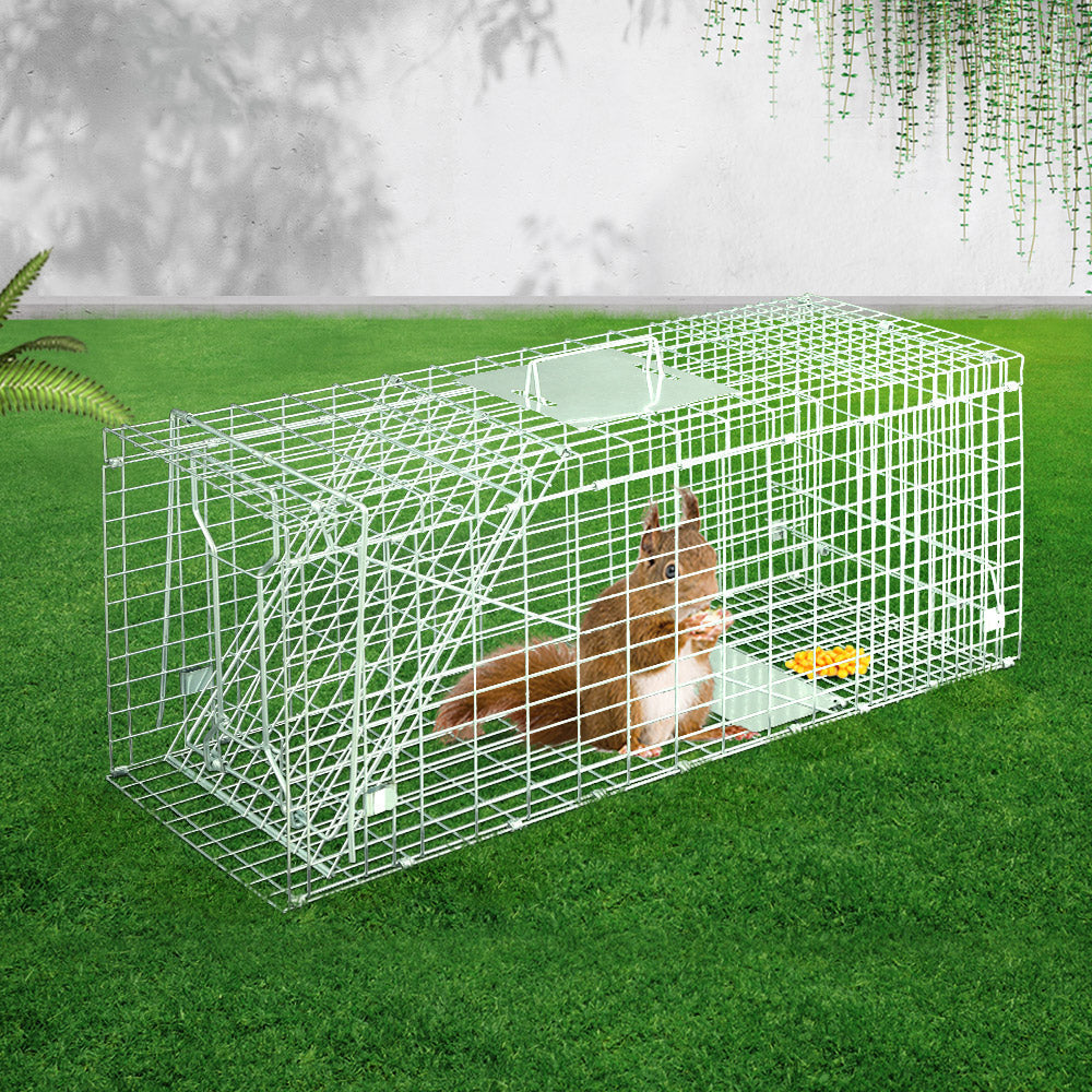 Animal Trap Humane Cage Catch - For Rabbit Cat Hare Fox