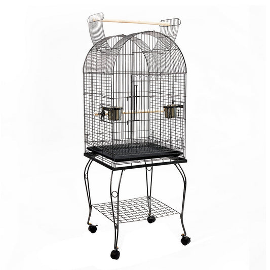 Bird Cage with Perch