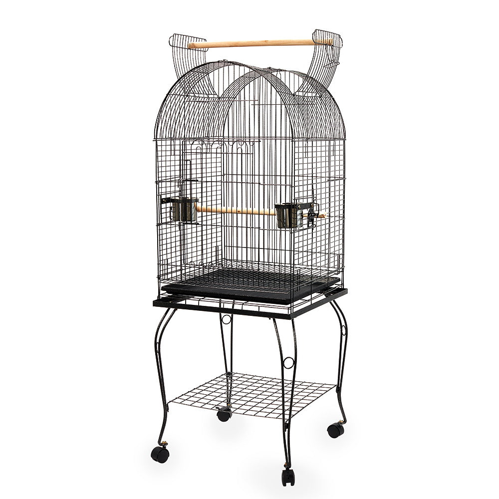 Bird Cage with Perch