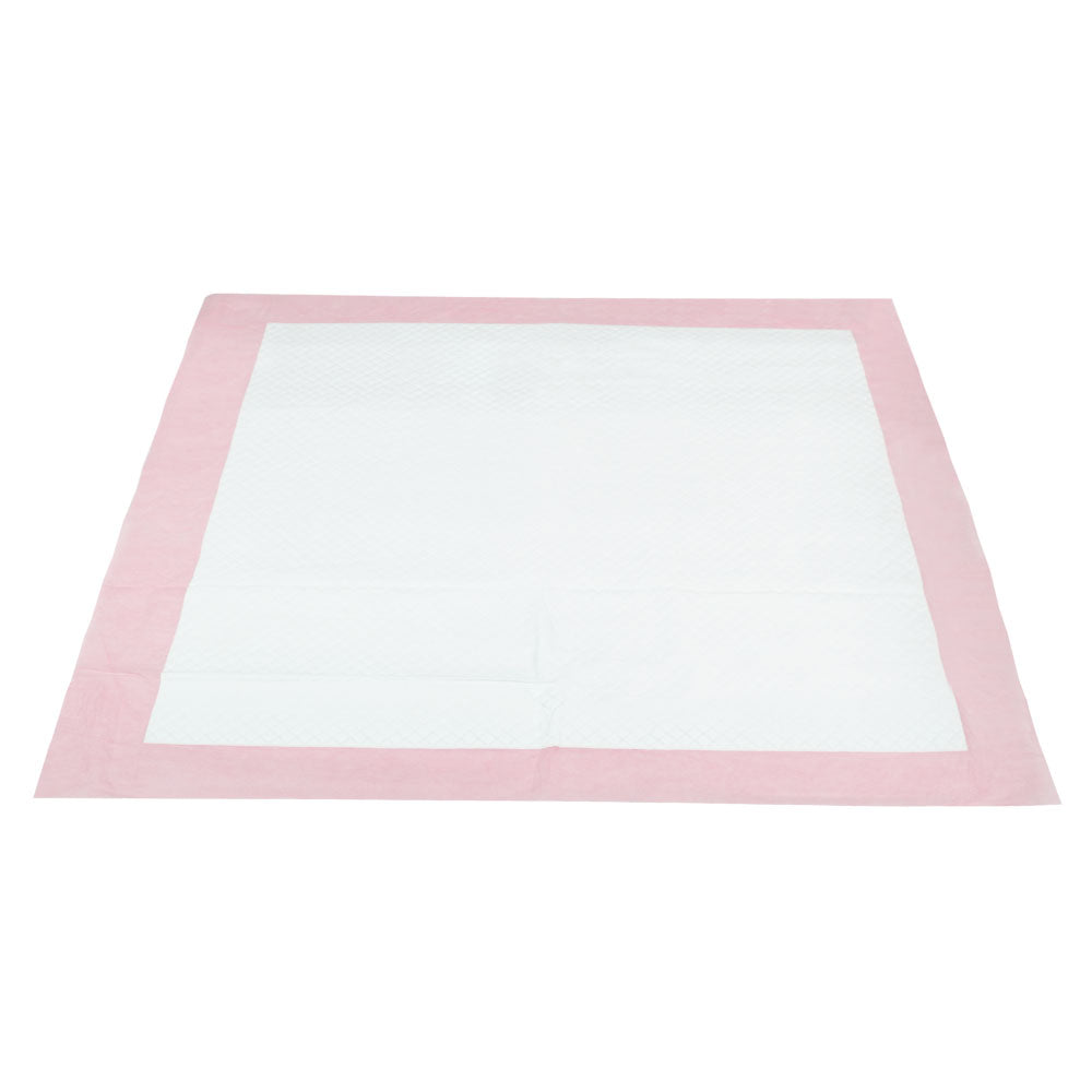 Pet Training Pads Puppy Dog Cat Toilet Indoor Super Absorbent - 400x