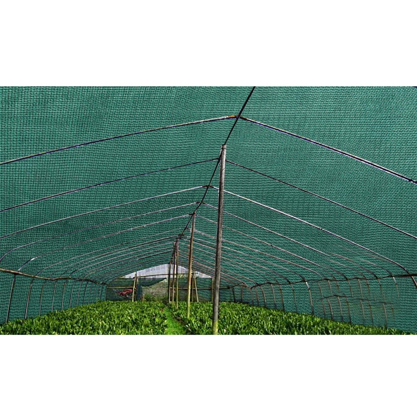 Shade Cloth Roll 30M - Green