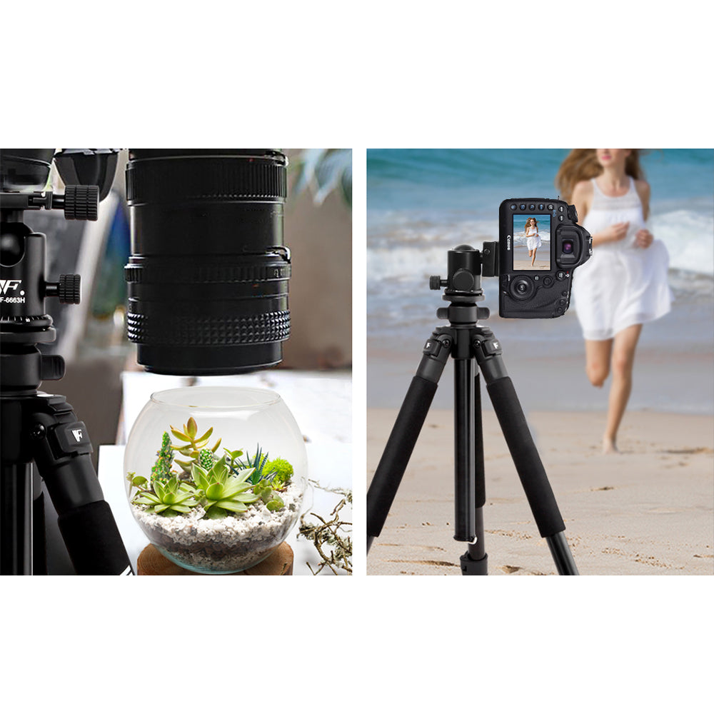 Professional Ball Head Tripod Digital Camera - 173cm