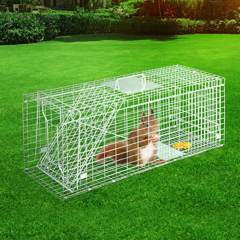 Animal Trap Humane Cage Catch - For Rabbit Cat Hare Fox