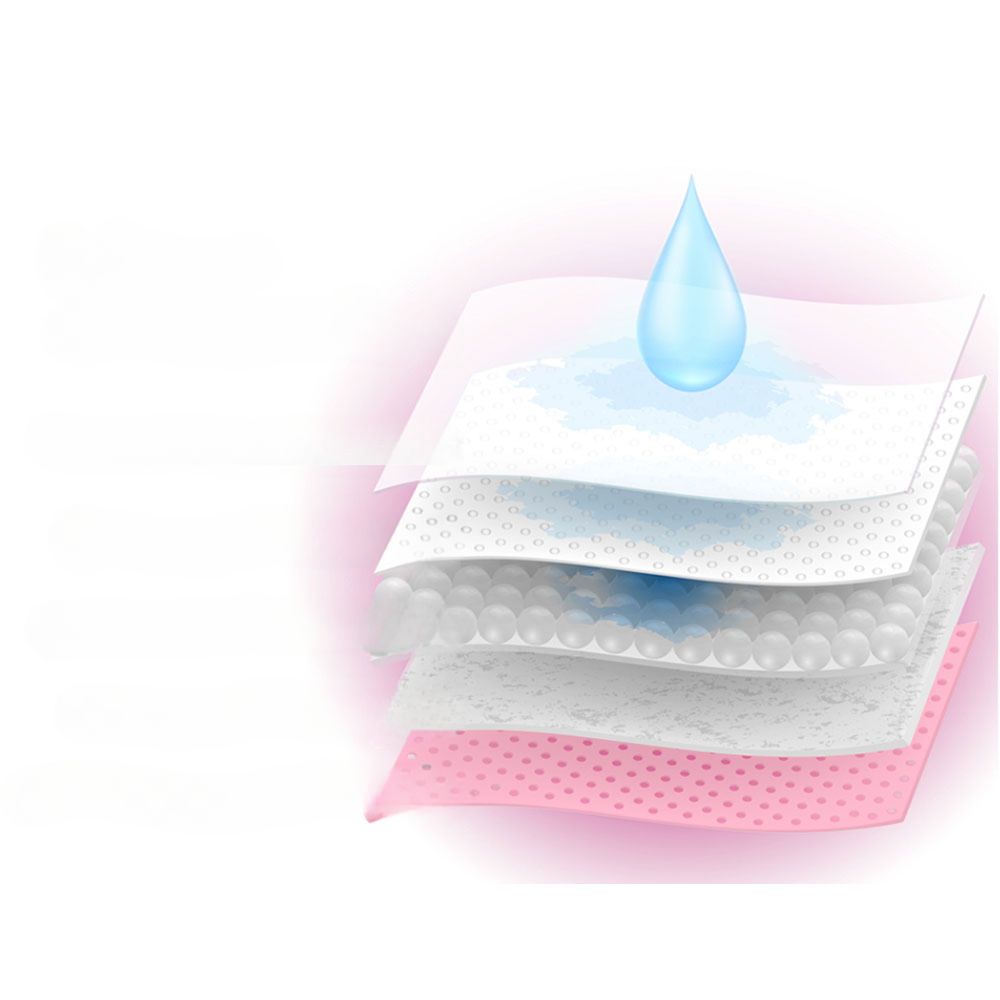 Pet Training Pads Puppy Dog Cat Toilet Indoor Super Absorbent - 200x