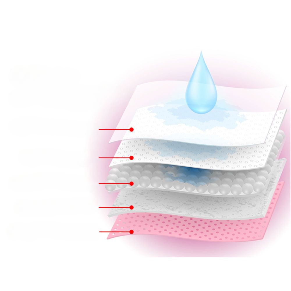 Pet Training Pads Puppy Dog Cat Toilet Indoor Super Absorbent - 400x