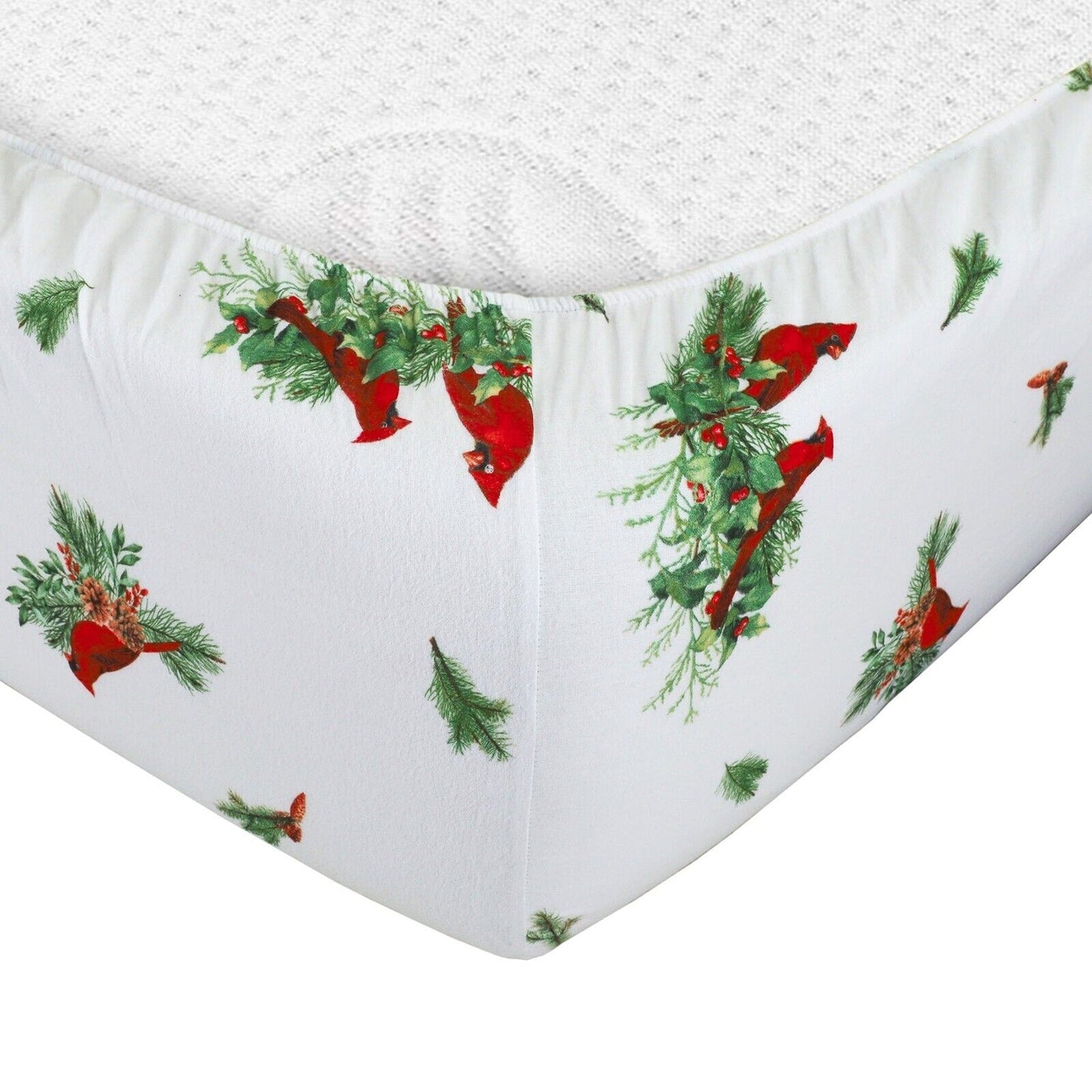 Cardinal Cotton Flannelette Sheets Set with Standard Pillow Case Single Double Queen King