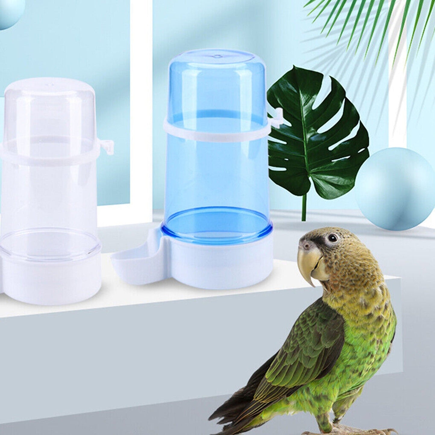 Bird Feeder Drinking Bottle Automatic Parrot Dispenser For Cages