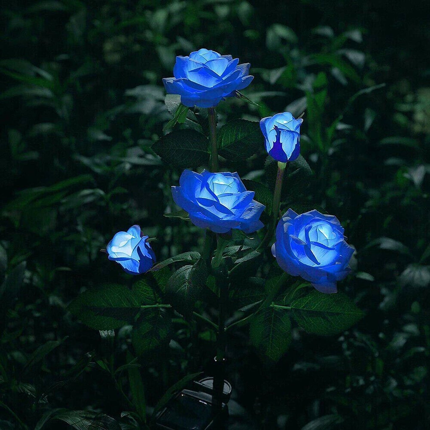 75cm Long Rose Flowers Solar Garden Lights for Yard and Xmas Decor