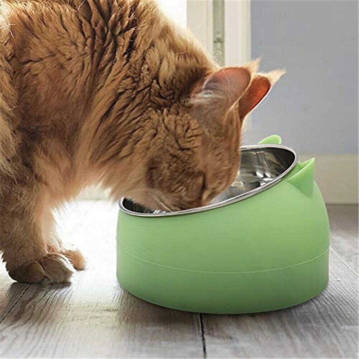 2pcs Elevated Dog Bowl Stand with Tilted Food Water Feeder