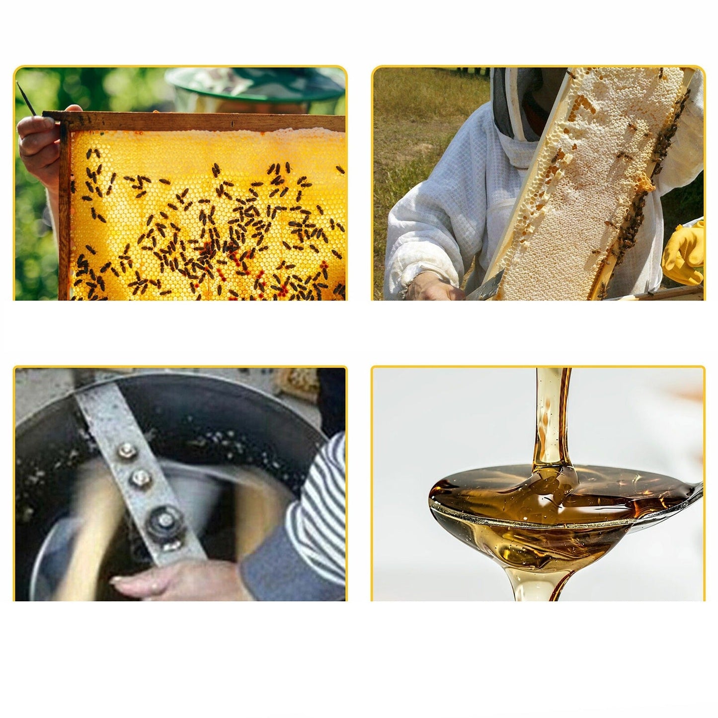 Manual 4-Frame Honey Extractor Stainless Steel Beehive Separator for Beekeeping