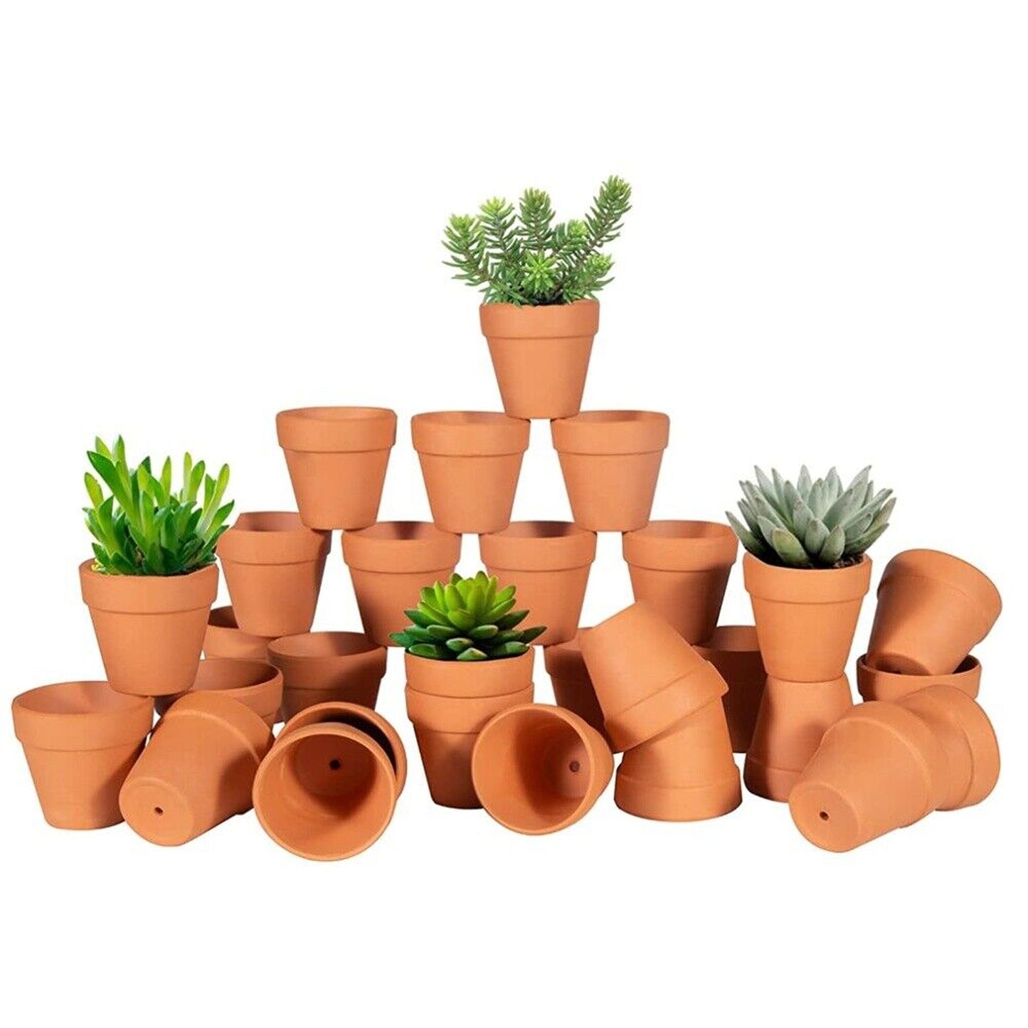 10pcs Decorative Mini Succulent Planters Terracotta Clay Pots